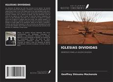 Buchcover von IGLESIAS DIVIDIDAS