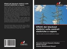 Effetti dei blackout elettrici sulle centrali elettriche a vapore kitap kapağı