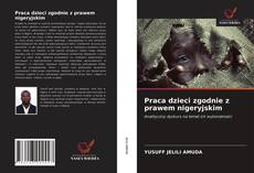 Capa do livro de Praca dzieci zgodnie z prawem nigeryjskim 