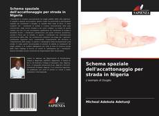 Portada del libro de Schema spaziale dell'accattonaggio per strada in Nigeria