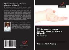 Wzór przestrzenny żebractwa ulicznego w Nigerii的封面