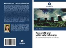 Kernkraft und Laienwahrnehmung的封面