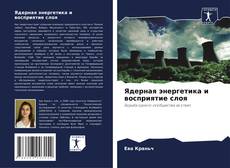 Buchcover von Ядерная энергетика и восприятие слоя