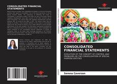 CONSOLIDATED FINANCIAL STATEMENTS的封面
