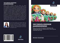 Copertina di GECONSOLIDEERDE JAARREKENING