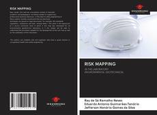 Bookcover of RISK MAPPING