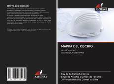 Bookcover of MAPPA DEL RISCHIO