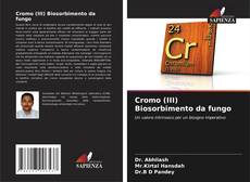 Capa do livro de Cromo (III) Biosorbimento da fungo 