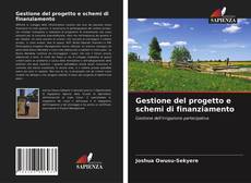 Buchcover von Gestione del progetto e schemi di finanziamento