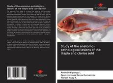 Buchcover von Study of the anatomo-pathological lesions of the tilapia and clarias sold