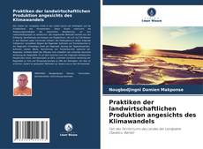 Praktiken der landwirtschaftlichen Produktion angesichts des Klimawandels的封面