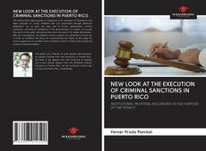 NEW LOOK AT THE EXECUTION OF CRIMINAL SANCTIONS IN PUERTO RICO的封面