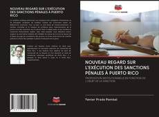 Capa do livro de NOUVEAU REGARD SUR L'EXÉCUTION DES SANCTIONS PÉNALES À PUERTO RICO 
