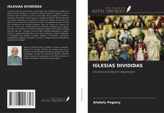 Buchcover von IGLESIAS DIVIDIDAS