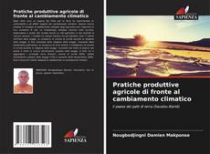 Bookcover of Pratiche produttive agricole di fronte al cambiamento climatico