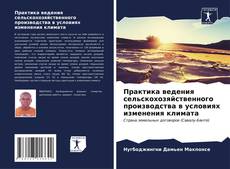 Buchcover von Практика ведения сельскохозяйственного производства в условиях изменения климата