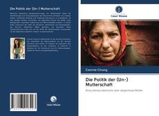 Capa do livro de Die Politik der (Un-) Mutterschaft 