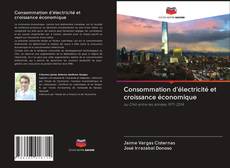 Portada del libro de Consommation d'électricité et croissance économique