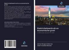 Обложка Elektriciteitsverbruik en economische groei