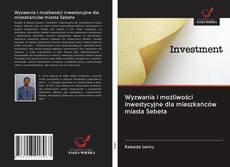Buchcover von Wyzwania i możliwości inwestycyjne dla mieszkańców miasta Sebeta