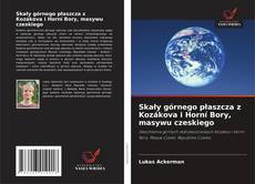 Bookcover of Skały górnego płaszcza z Kozákova i Horní Bory, masywu czeskiego