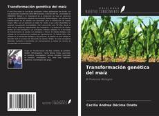 Buchcover von Transformación genética del maíz