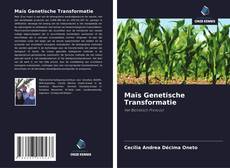 Maïs Genetische Transformatie kitap kapağı