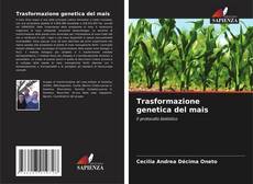 Copertina di Trasformazione genetica del mais