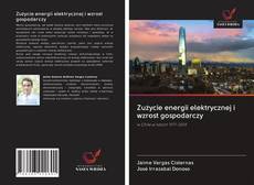 Buchcover von Zużycie energii elektrycznej i wzrost gospodarczy