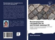 Bookcover of Вышеградские государства на восточной границе ЕС