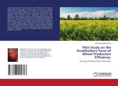 Buchcover von Pilot Study on the Smallholders' Farm of Wheat Production Efficiency: