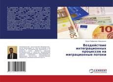 Copertina di Воздействие интеграционных процессов на миграционные потоки