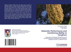 Copertina di Heterotic Performance and Combining Ability in Sorghum