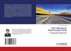 Buchcover von Fe57 Mössbauer Spectroscopy Study