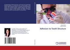 Buchcover von Adhesion to Tooth Structure