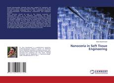 Buchcover von Nanoceria in Soft Tissue Engineering