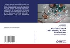 Buchcover von Fundamentals of Methodology Project Management
