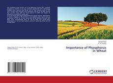 Copertina di Importance of Phosphorus in Wheat