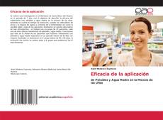 Couverture de Eficacia de la aplicación