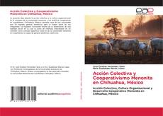 Portada del libro de Acción Colectiva y Cooperativismo Menonita en Chihuahua, México
