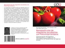 Portada del libro de Nanopartículas de magnetita recubiertas con Polivinilpirrolidona: