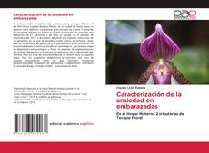 Caracterización de la ansiedad en embarazadas kitap kapağı