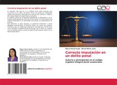 Correcta imputación en un delito penal kitap kapağı