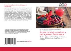 Обложка Productividad económica del agua en Zarzamora