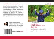 Identidad y profesionalización docente kitap kapağı