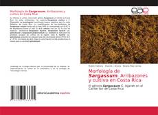 Обложка Morfología de Sargassum. Arribazones y cultivo en Costa Rica
