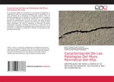 Обложка Caracterización De Las Patologías Del Muro Perimetral Del Itfip.