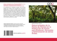 Copertina di Potencialidades de la Planta de Mufuko en la Producción de Aceite para Biodiesel, Derivados y Reforestación de Zonas Áridas
