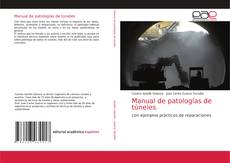 Manual de patologías de túneles kitap kapağı