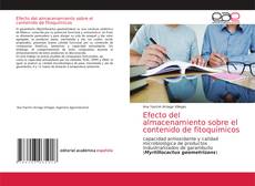 Обложка Efecto del almacenamiento sobre el contenido de fitoquímicos
